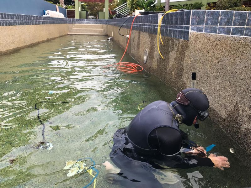 Diver performing pool leak detection on PebbleTec pool surface.