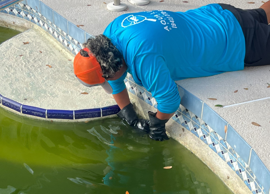 Aqua Leak Detection employee inspecting a pool for leaks