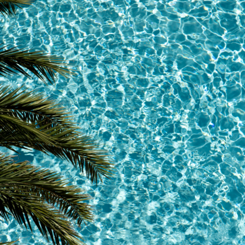 Aqua Leak Detection - Florida's Premier Pool Leak Detection Company